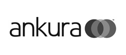 Ankura